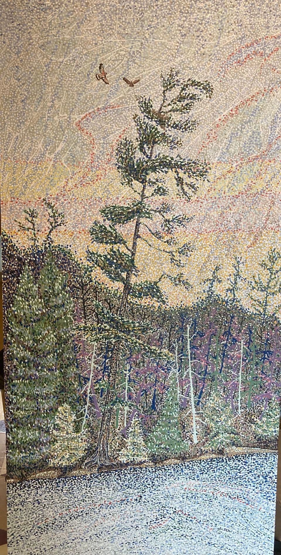 Hawks Roosting Butt Lake